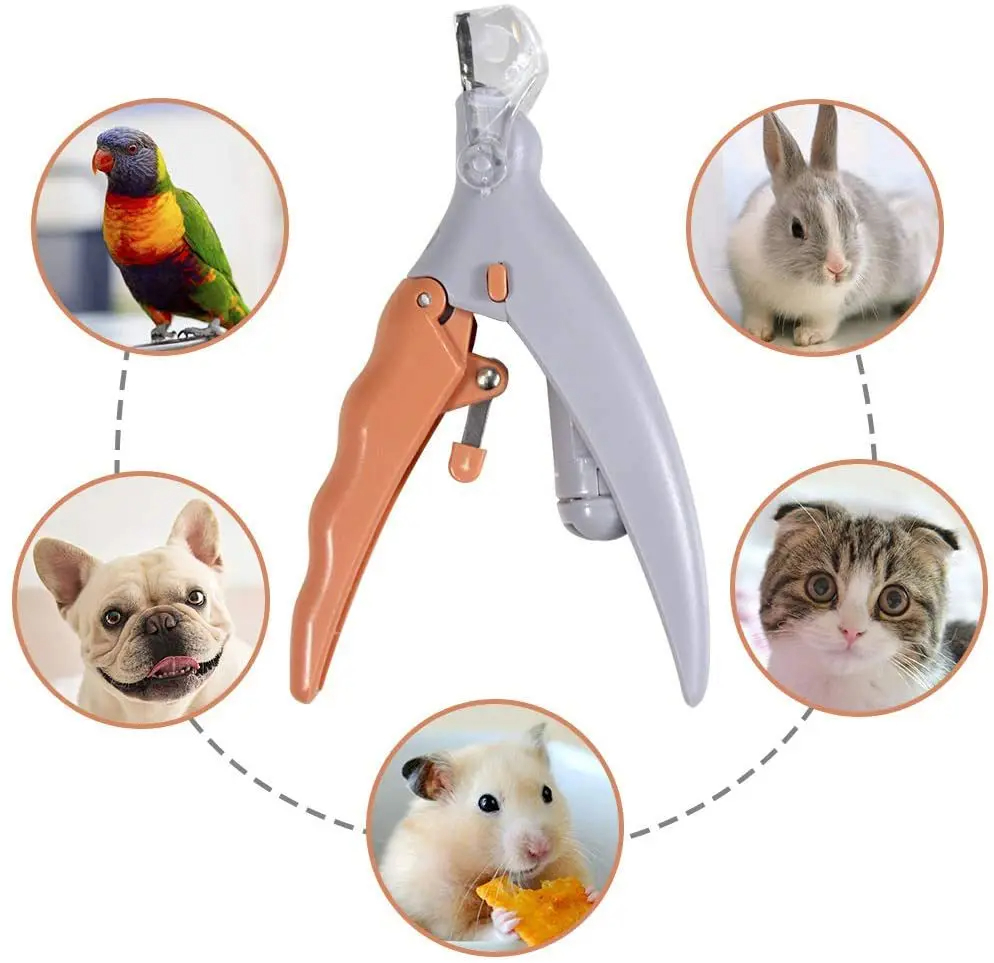 Grooming Scissors - مقص أظافر احترافي للقطط والكلاب مع